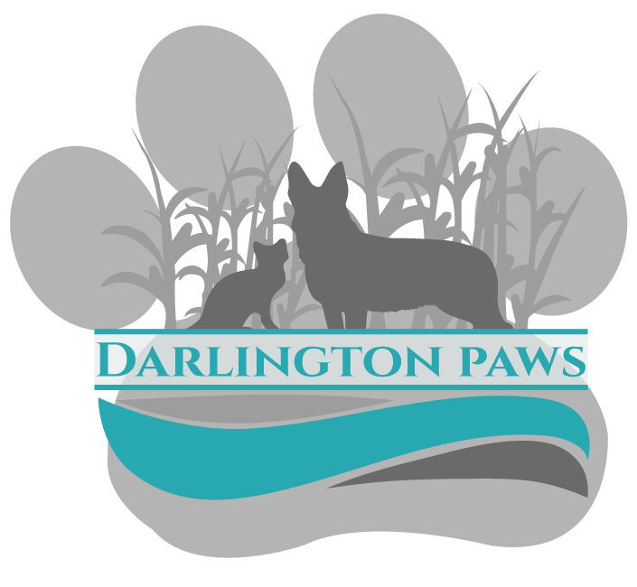 Darlington Paws