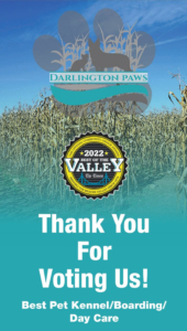 Darlington Paws - Thank You for voting for us!